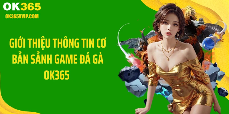 Giới thiệu thông tin cơ bản sảnh game đá gà OK365 